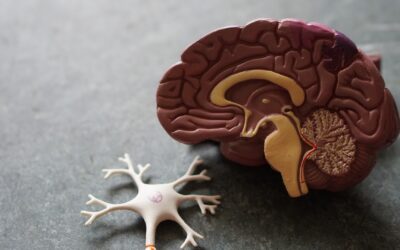 How Ketamine Works: The Brain Science Behind Ketamine for Depression